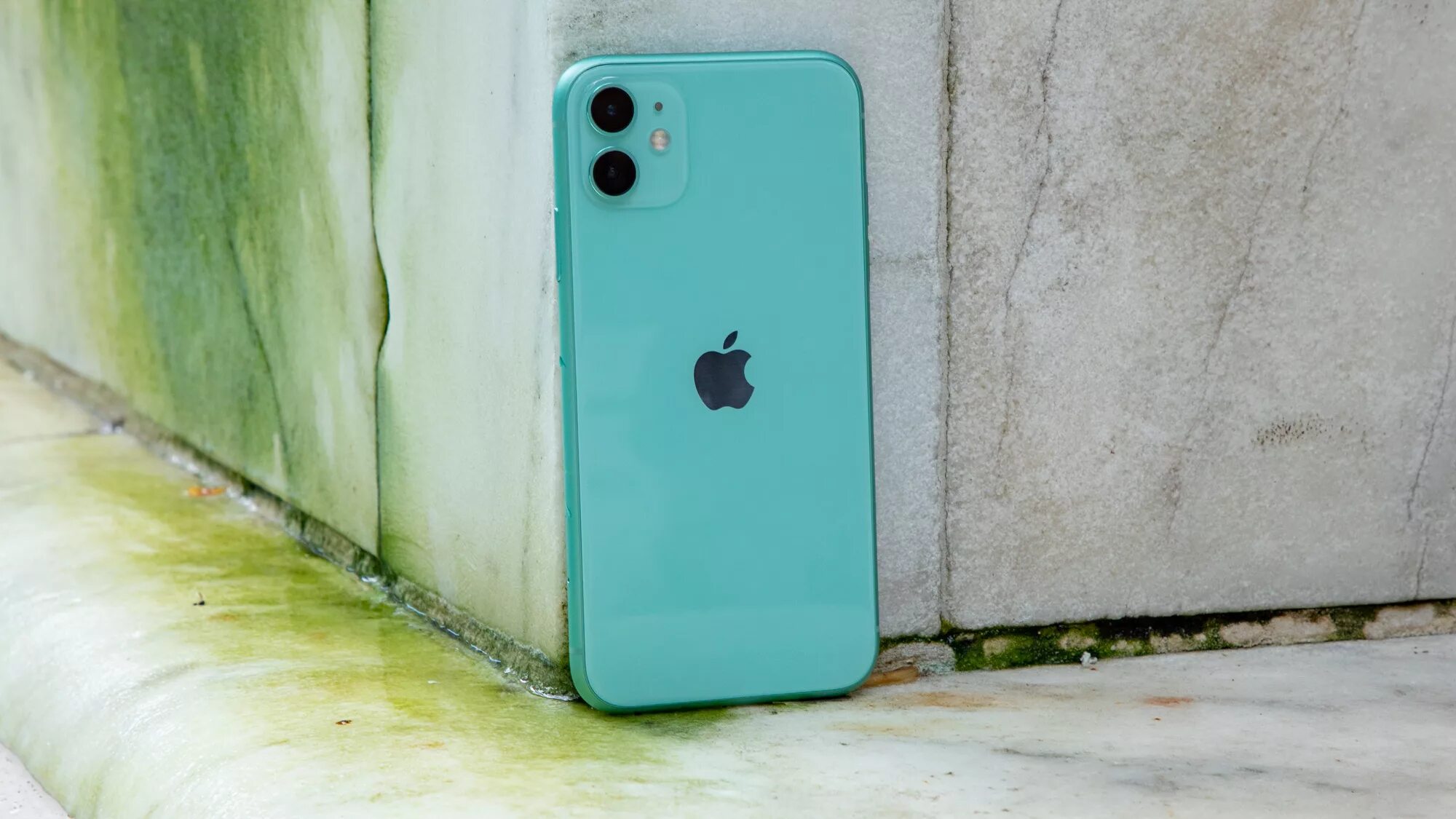 Айфон 11 полностью. Iphone 11 Green. Apple iphone 11 64gb зеленый. Iphone 11 Green 128. Iphone 11 s.