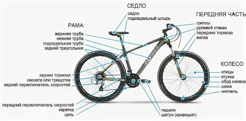 1 24 2020. Схема велосипеда с названием деталей стелс. Велосипед stels схема тормоза. Схема велосипеда стелс. Конструкция переднего колеса велосипеда схема.