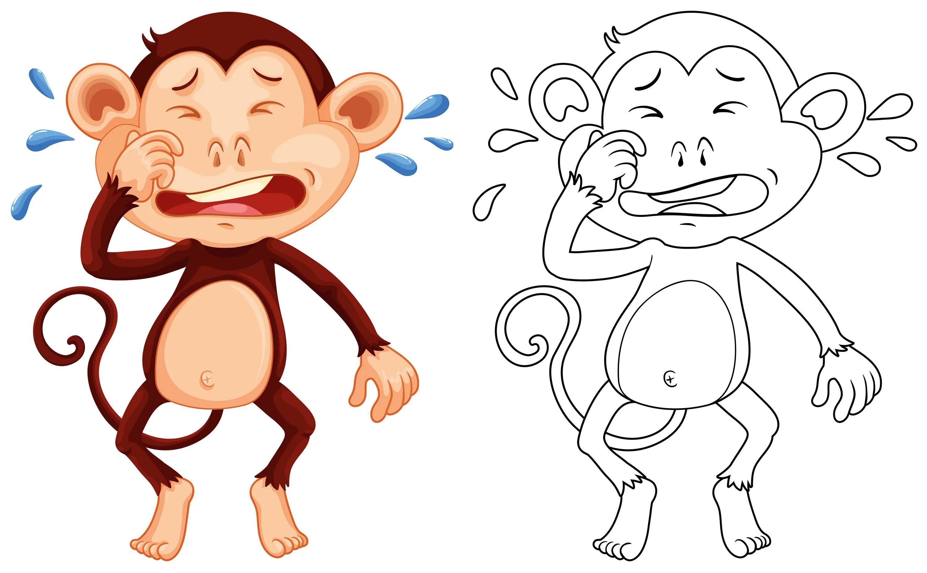 Monkey crying
