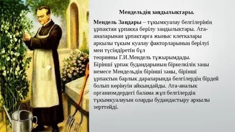 Мастер сексуалды губернатор мен оның сүйікті әйелін трахает