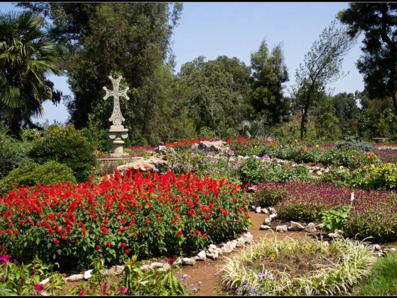 Gardens батуми. Ботанический сад грузия. ботанический сад батуми. дендрологический парк батуми. ботанический парк батуми.