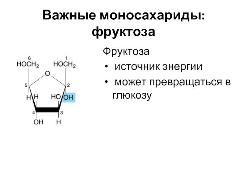 Строение моносахаридов биохимия. Основные моносахариды формулы. Важнейшие представители моносахаридов. Моносахариды модель. Фруктоза является моносахаридом