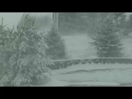Вьюга воет попрятались