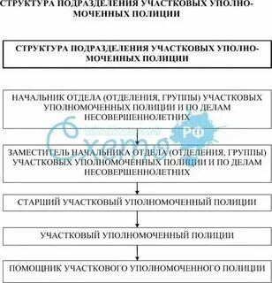 Характеристика участкового уполномоченного полиции