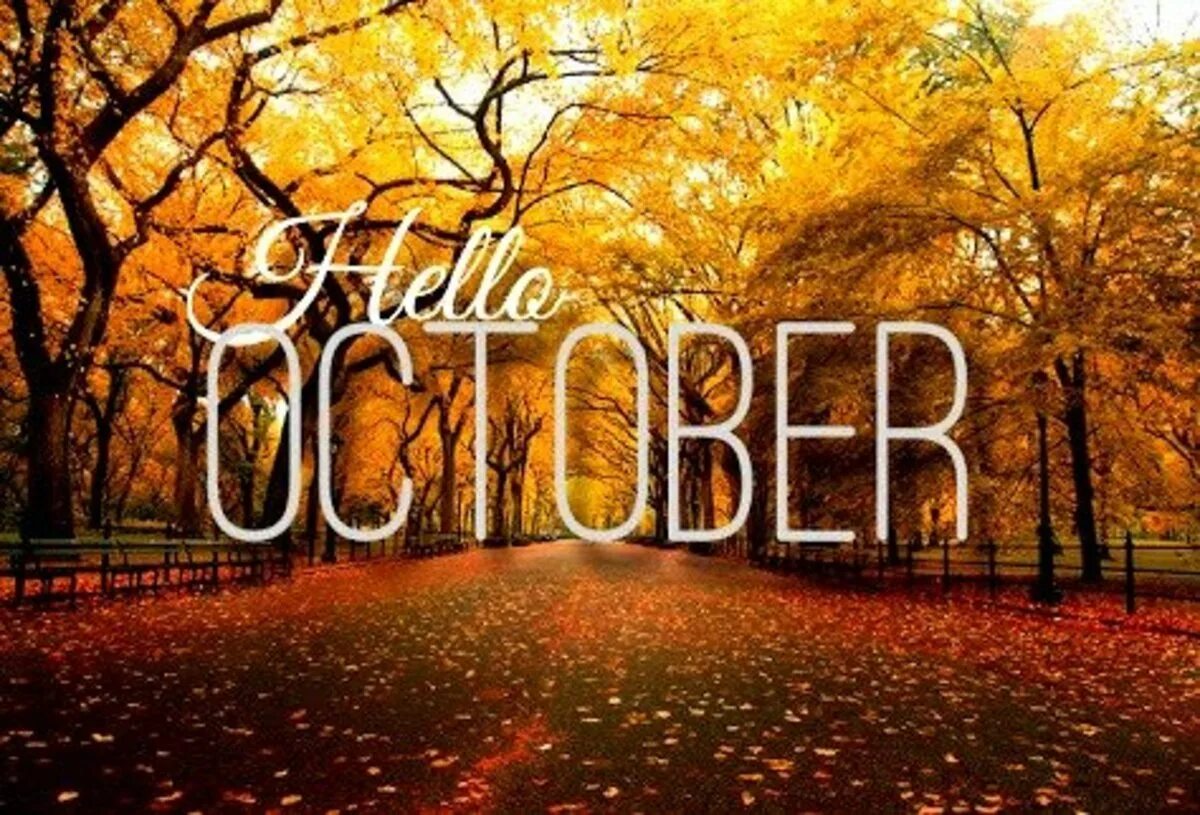 Hello october. Hello october please be good. Заставка october. Quotes about october. Октябрь надпись.