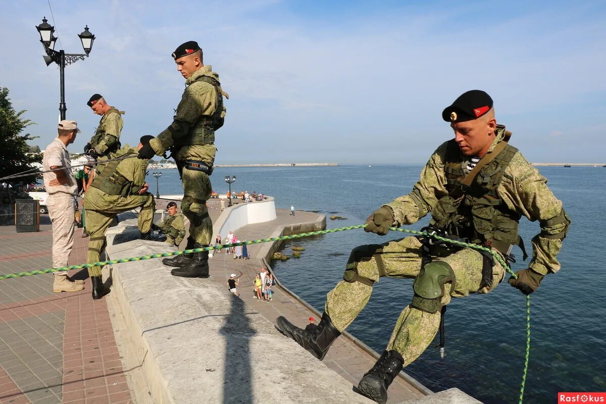 Морская пехота ВМФ РФ. Новороссийск ВМФ морская пехота. Морская пехота Севастополь. ПДСС Севастополь. Почта морских пехотинцев