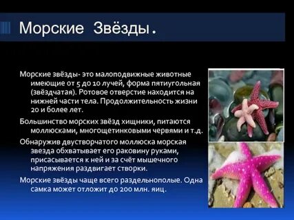 Продолжительность жизни морских