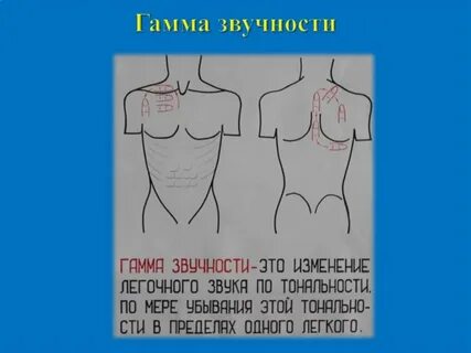 Гамма звуков это