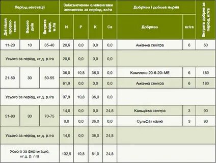 Какую температуру выдерживает лук на грядке