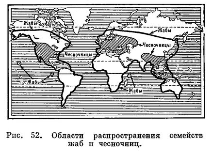 Семейство распространение