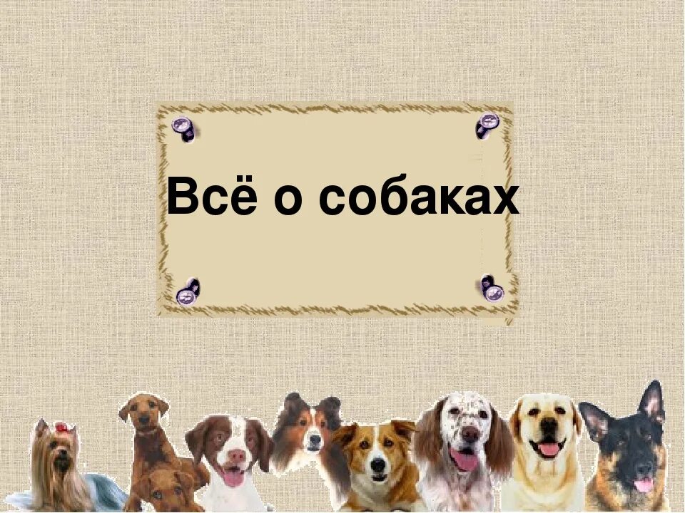 Фон для презентации собаки. Слайды с собаками. Заголовок про собаку. Проект на тему собаки.