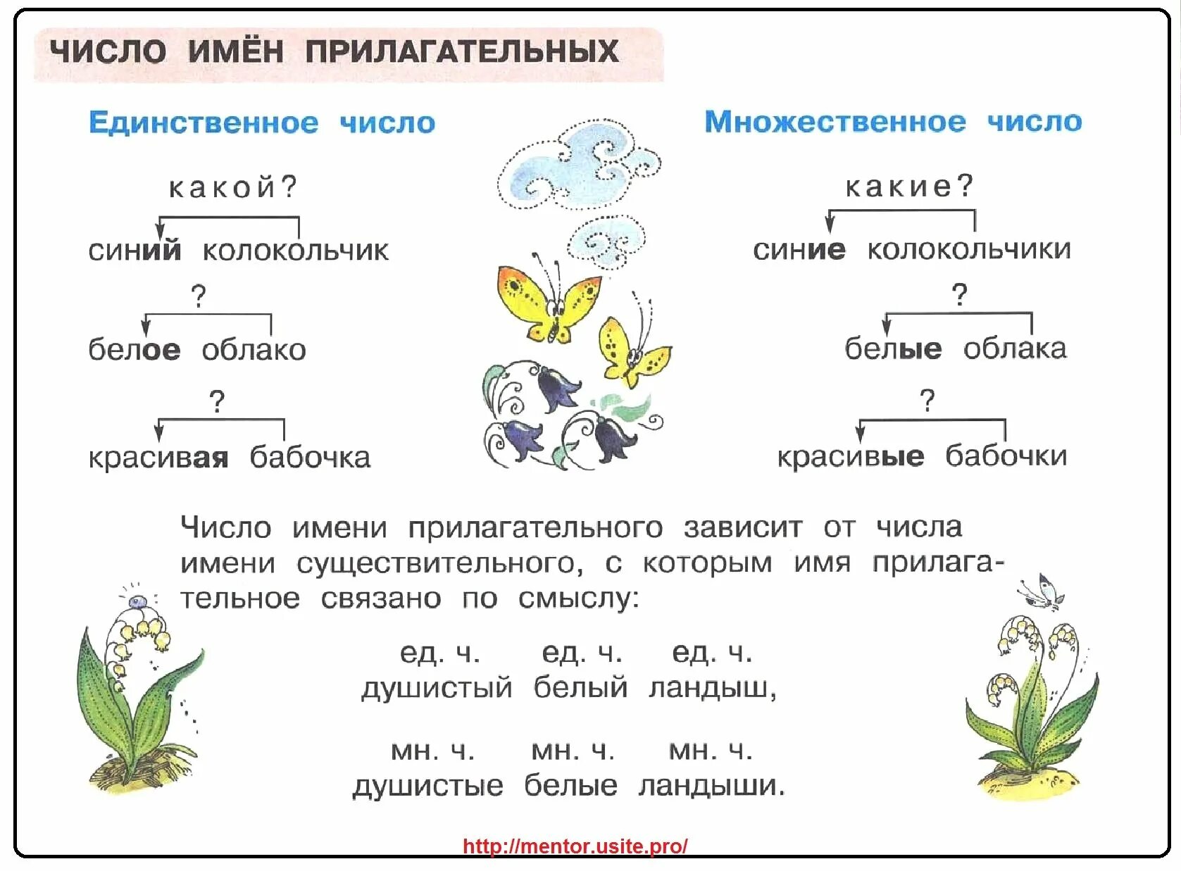 Карточка по русскому 2 класс имя прилагательное. Изменение имени прилагательного по числам 2 класс. Число имён прилагательных 3 класс. Число имён прилагательных 3 класс школа России презентация. Изменение прилагательных по числам.