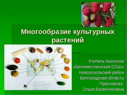 Роль человека в создании культурных растений