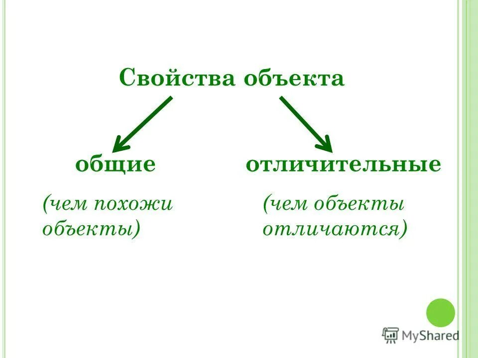 Приведи примеры предметов