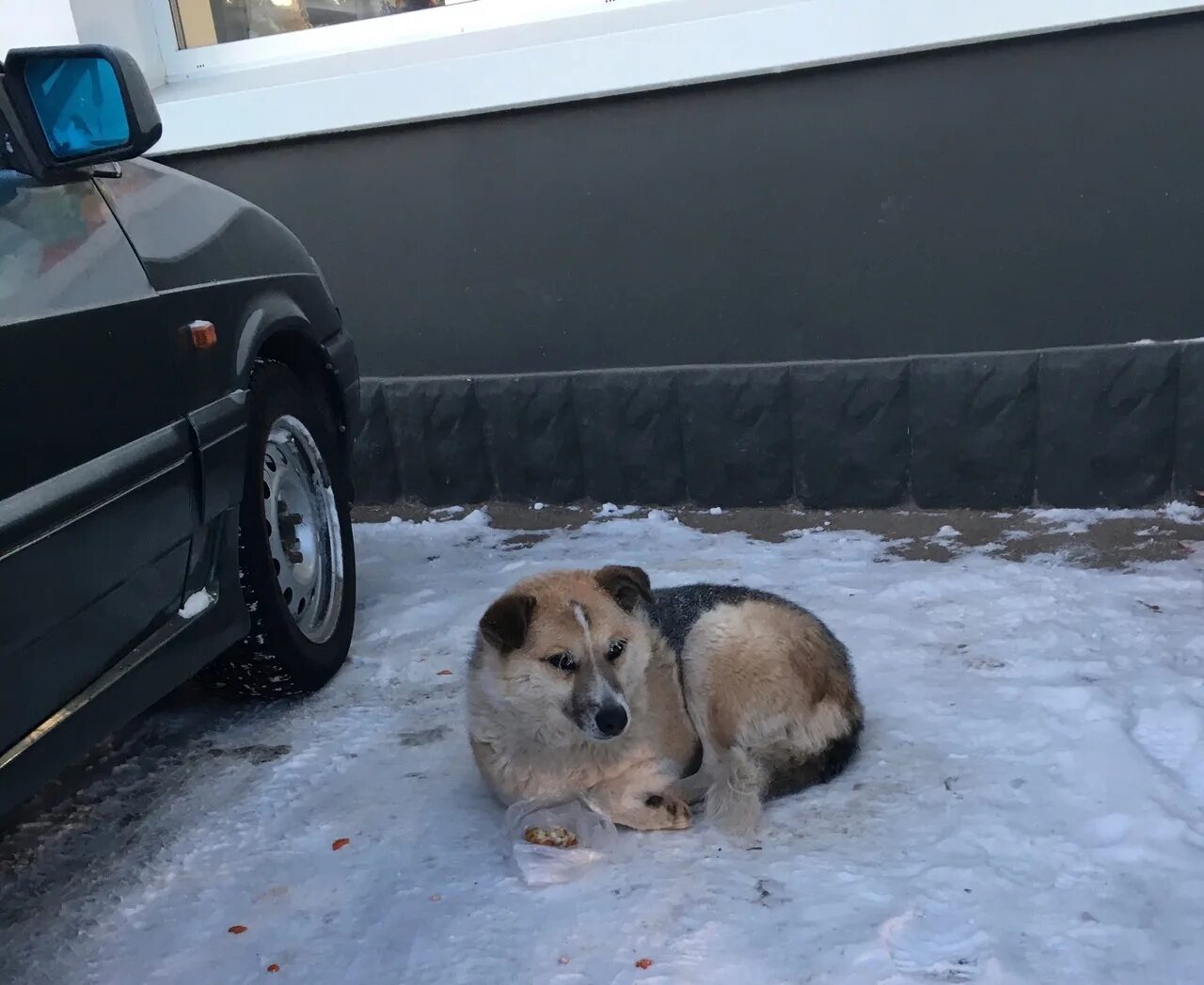 Околеть или окалеть