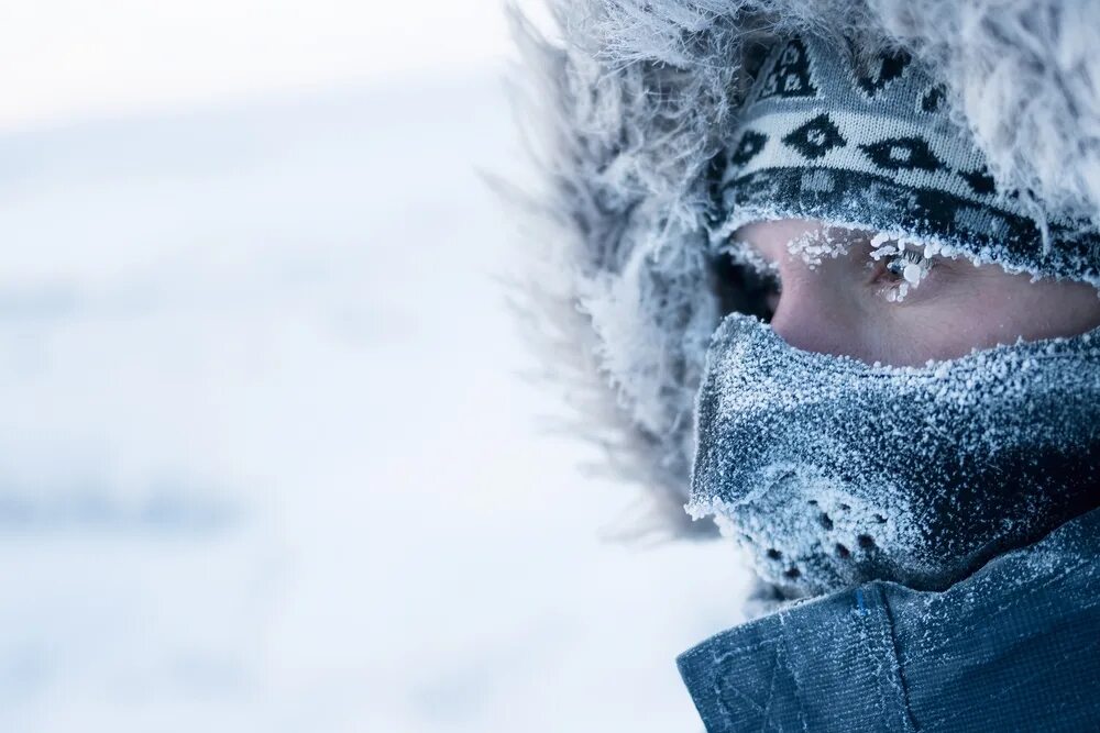 Сильный Мороз картинки. Похолодание на аватарку. Сибирская зима и люди. Man in Winter.