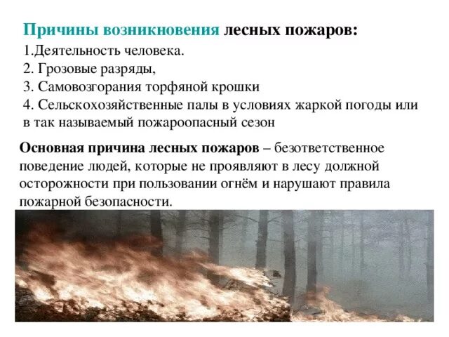 Что является основным фактором возникновения пожаров. Причины возникновения торфяных пожаров. Причины возникновения лесных и торфяных пожаров. Причины возникновения возникновения лесных пожаров. Основные причины горения лесов.