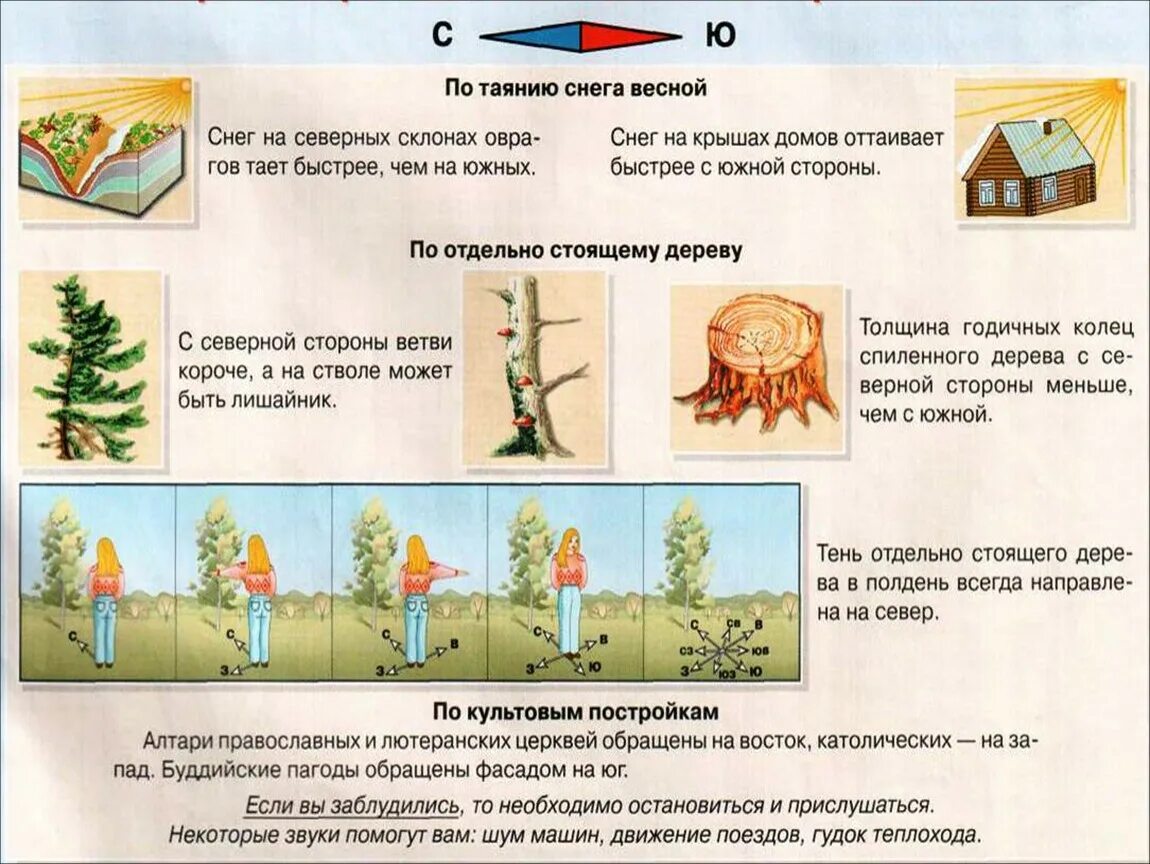 Окружающий мир там
