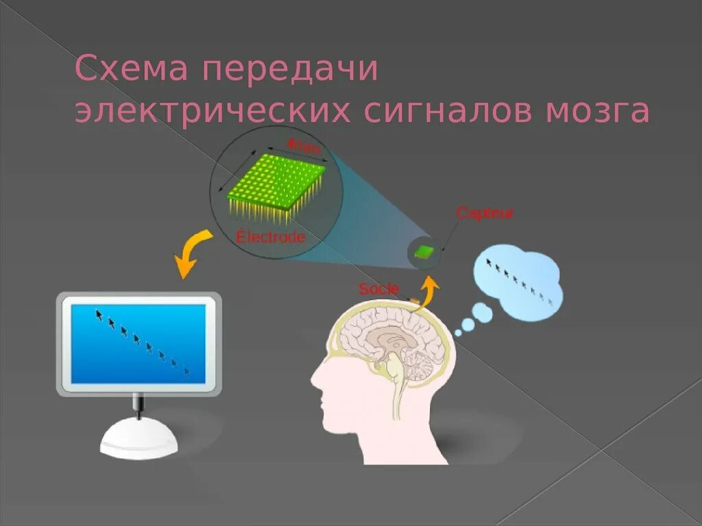 Схема передачи электрического сигнала. Схема передачи электрических сигналов мозга. Считывание сигналов мозга. Мозг схема электрических сигналов.