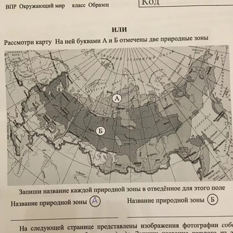 Природные зоны россии впр ответы. Название природных зон. Название природной зоны а и б. Природные зоны ВПР названия. Название природной зоны в которой расположен.