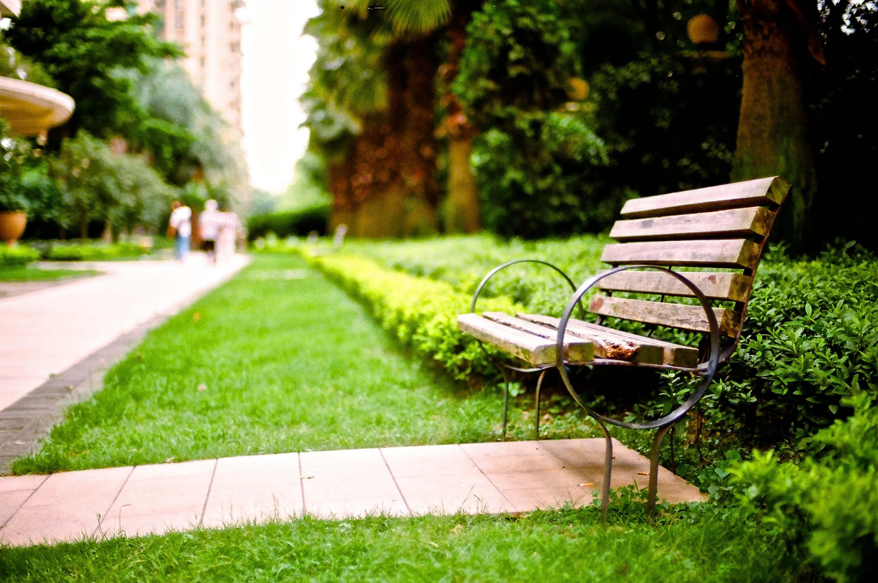 Камера тормозная газон некст передняя. Цветочная аллея тротуар. 240-508 (8,25-20) автокамера. С41r11. Текстура травы.