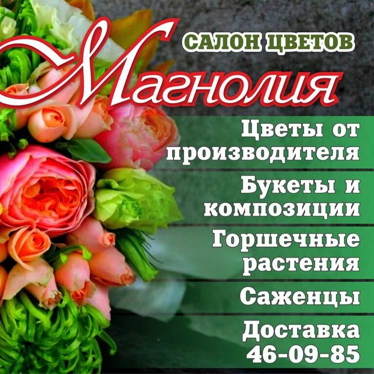 Агрофирма магнолия. Агрофирма магнолия. Агрофирма магнолия курган. Магнолия курган каталог саженцев. Агрофирма магнолия.
