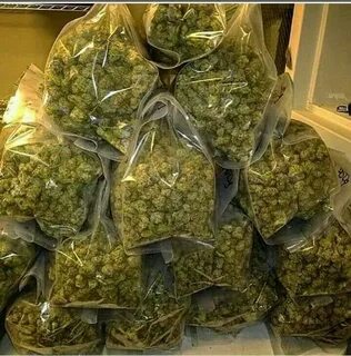 Elyaweed записи