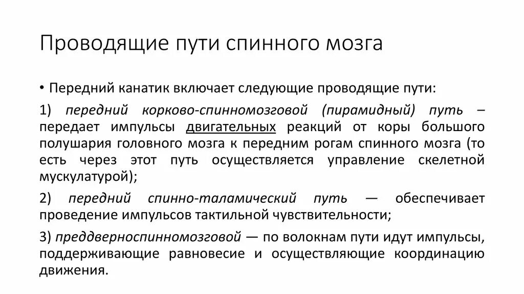 Проводящие пути спинного мозга. Восходящие пути спинного мозга. Схема проводящих путей спинного мозга. Ядра и пути спинного мозга.