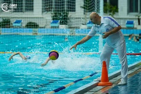 Водные поли