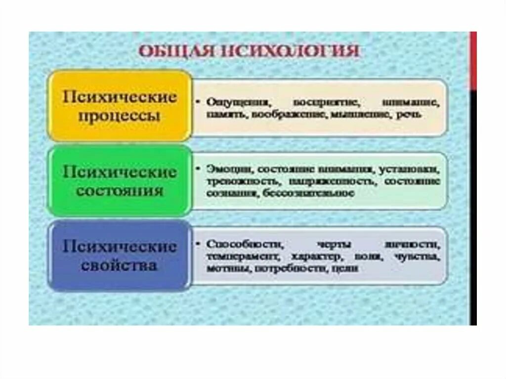 Психология урок 1. Основные психологические процессы. Ощущение и восприятие, память, внимание, мышление.. Психические процессы в психологии. Психические процессы личности в психологии.