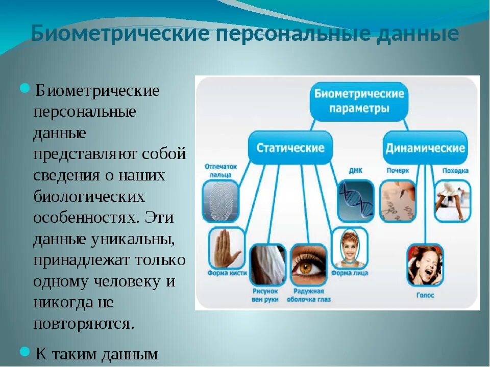 Биометрия это. Биометрические персональные данные. Плиометрические данные. Что относится к биометрическим персональным данным. Примеры биометрических персональных данных.