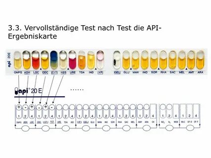 Api 20