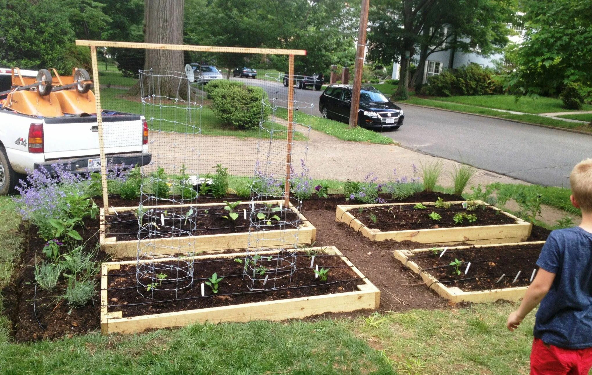 Build a garden