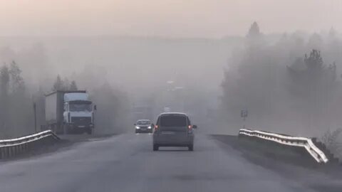 Дорога окутана туманом