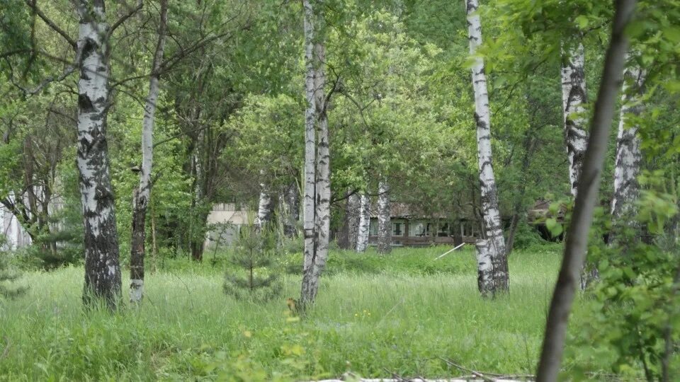 Березки орел. Лагерь Березки в Боково. Березки Орловская область. Лагерь Березки Клинский район. Пионерский лагерь Березка Орловская область.