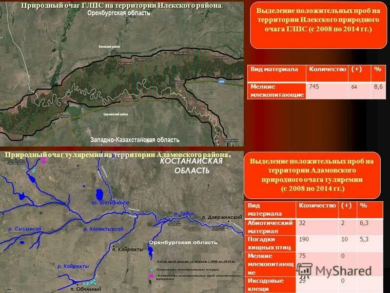 Карта илекского района оренбургской области