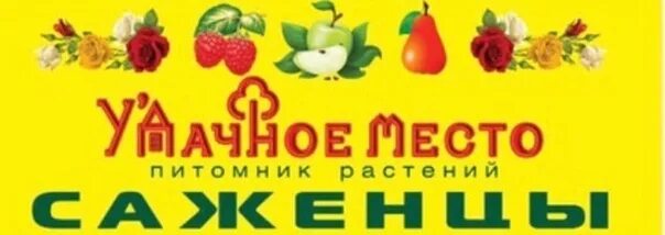 Березовский питомник растений на карте. Невьянск питомник растений ленина 104. Невьянск питомник растений ленина 104. Берёзовский питомник растений в березовском. Невьянск питомник растений ленина 104.