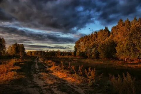 Зловещий блеск