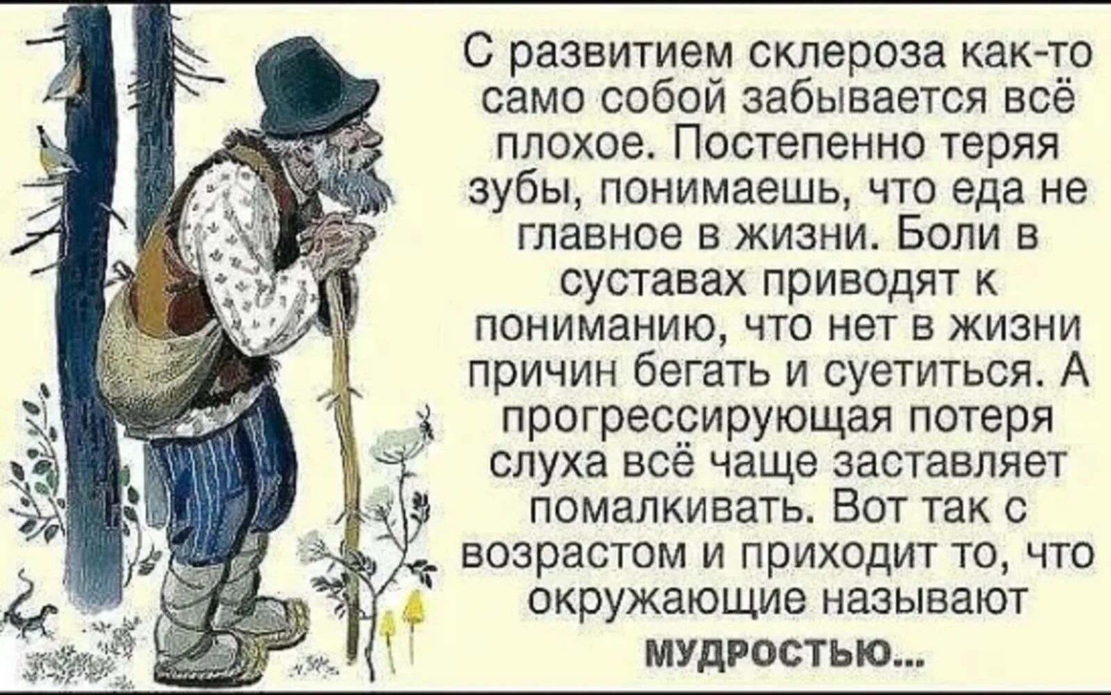 Утверждают что в старости каждый. Афоризмы о старости и мудрости. Высказывания о старости. Высказывания про старость и мудрость. Веселая мудрость в картинках.