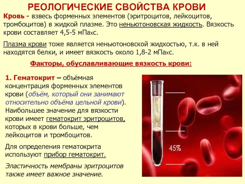 Эритроциты сильно повышены. Причины вязкости крови. Причины разжижения крови.