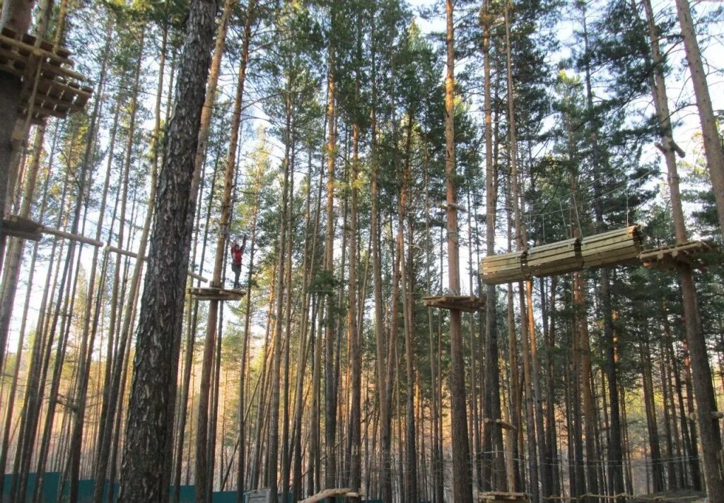 Веревочный парк чита. Веревочный парк хамелеон Чита. Шервуд парк Карелия веревочный парк. Веревочный парк Чита Никишиха. Веревочный хамелеон парк хамелеон Чита.