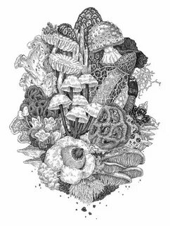 Графика 16 8