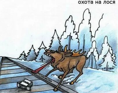 Медведь тащит оленя
