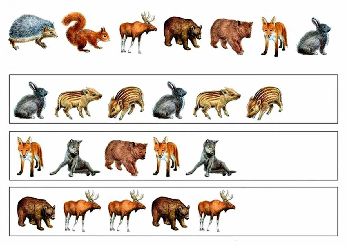 Изображения диких животных. Изображения диких животных для детей. Дикие Лесные животные для малыша. Pflfybzдля малышей Дикие животные. Дикие животные детям 5 6 лет