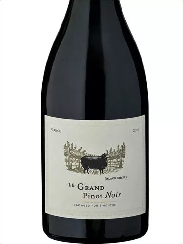 Grand pinot noir. Легран Пино Нуар вино. Вино Ле Гранд Нуар Пино Нуар. Вино Ле Гран Нуар Пино Нуар красное полусухое.