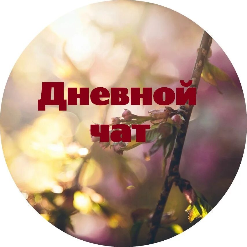 Дневной чат картинки. Темы дневного чата. Дневной чат надпись. Дневной чат картинки прикольные