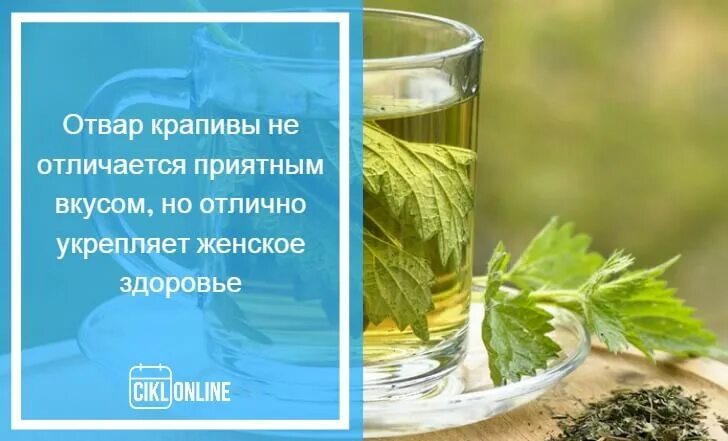 Отвар крапивы пить. Настой крапивы. Как приготовить отвар крапивы. Отвар крапивы рецепт. Крапива при месячных отзывы