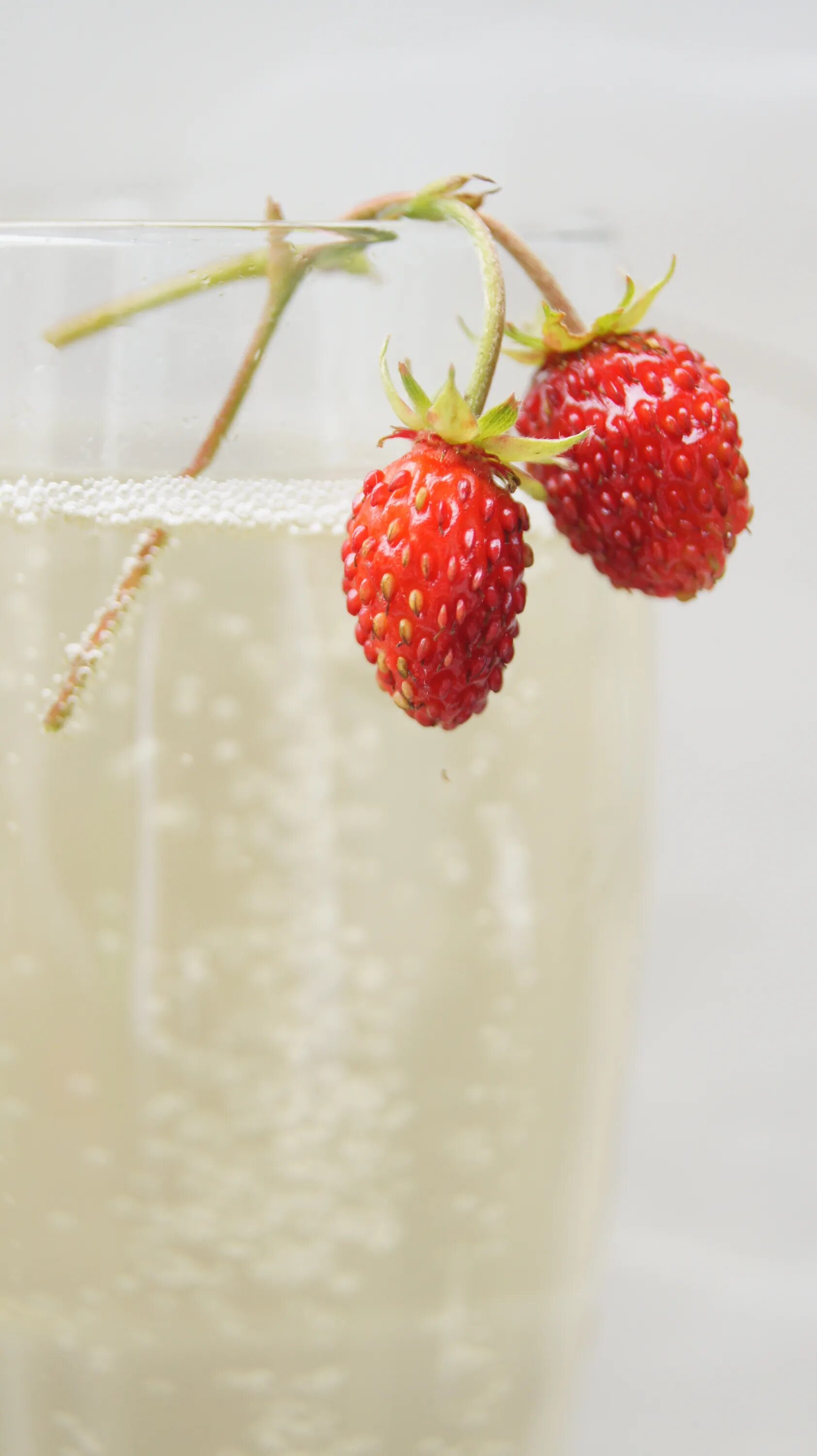 Maison strawberry champagne. Шампанское с клубникой. Клубника с шампанским. Шампанское из земляники. Клубника с шампанским Эстетика.
