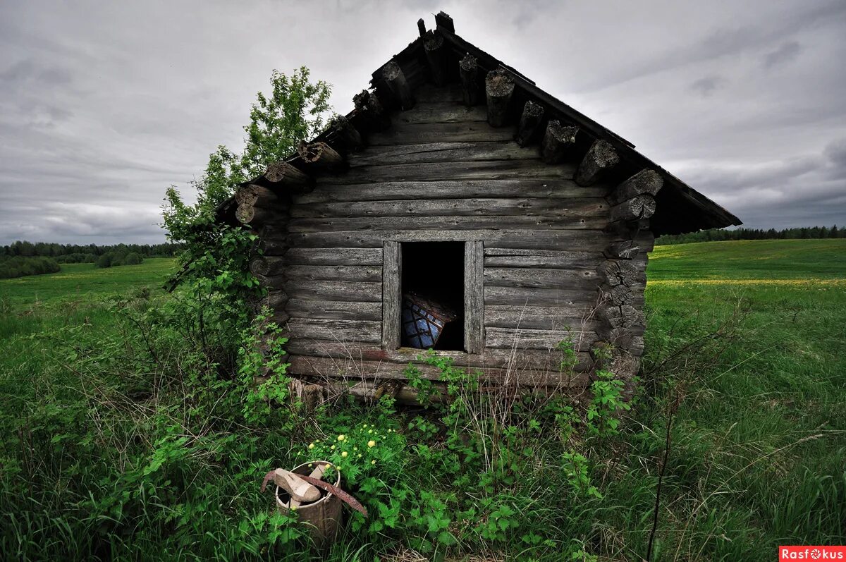 никто изба. дом изба в деревне старое сихино. избушка. деревенский деревянный дом. заброшенные дома в деревнях.