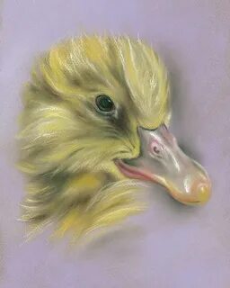 Fluffing duck